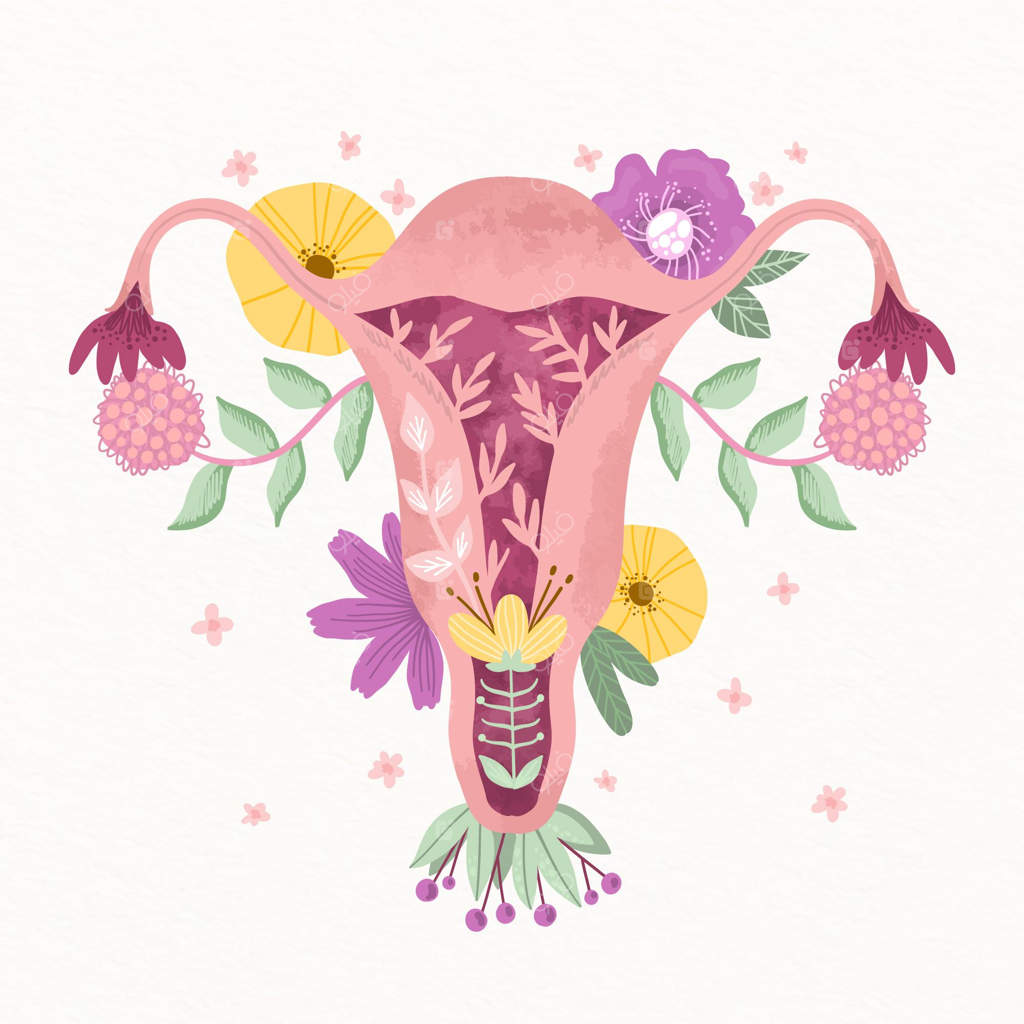 سیستم تولید مثل زنانه با رنگ‌های زیبا