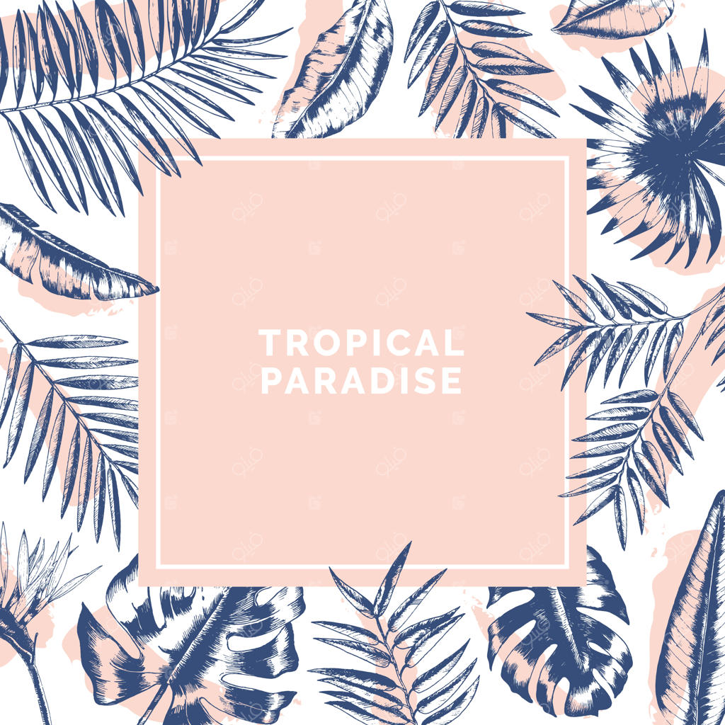 قاب مربع عجیب و غریب از شاخه‌های نخل و برگ‌های مونسترا با خطوط محیطی و لکه‌های رنگی.