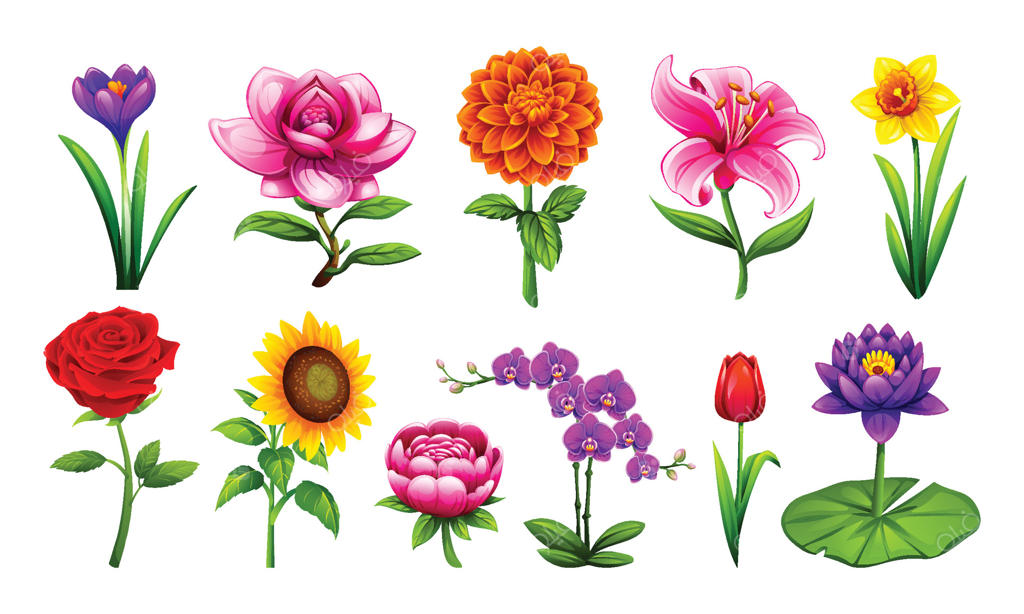 مجموعه‌ای زنده از طرح‌های گل وکتور حرفه‌ای را کشف کنید
