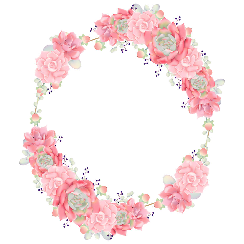 پس‌زمینه‌ی گلدار با ساکولنت‌ها