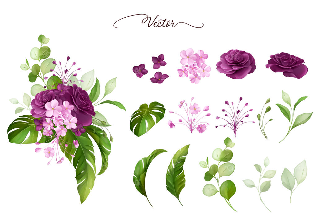 ترکیبات آبرنگی و اجزای مجزای گل های رز بنفش