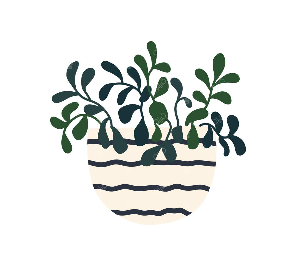 گلدان گیاه. گلخانه داخل خانه، گلدان. برگ‌های سبز گیاه، جنگل خانگی. گیاه آپارتمانی برای دکوراسیون داخلی دفتر – تصویر سازی扌