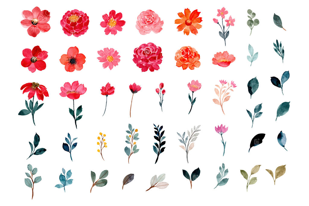 مجموعه المان‌های آبرنگی گل و برگ