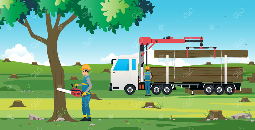 مردی که با اره برقی در حال بریدن درخت است