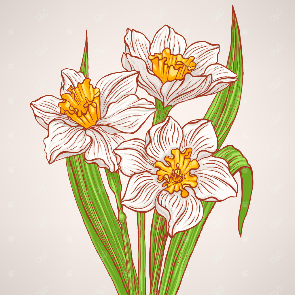 دسته گل نرگس بهاری