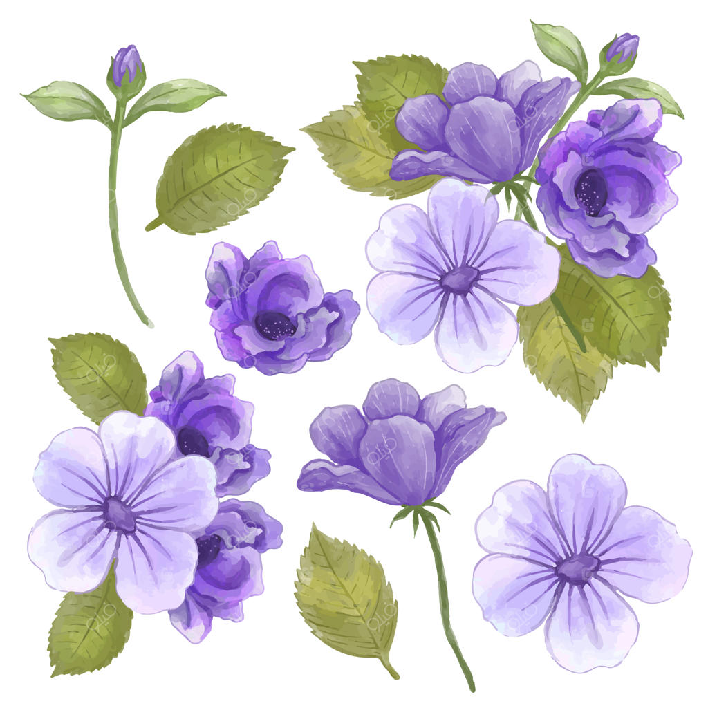 دسته گل زیبا و برگ‌ها برای تزیین به سبک آبرنگ