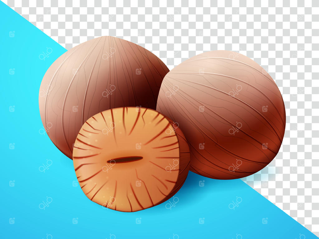 جوز هندی، مناسب برای دکوراسیون، تزئینات، ادویه جات و تبلیغات