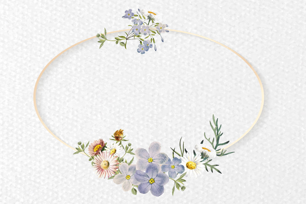 وکتور قاب بیضی گل‌دار ساده