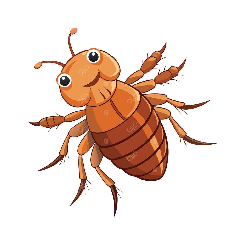 تصویر یک کک در باغچه