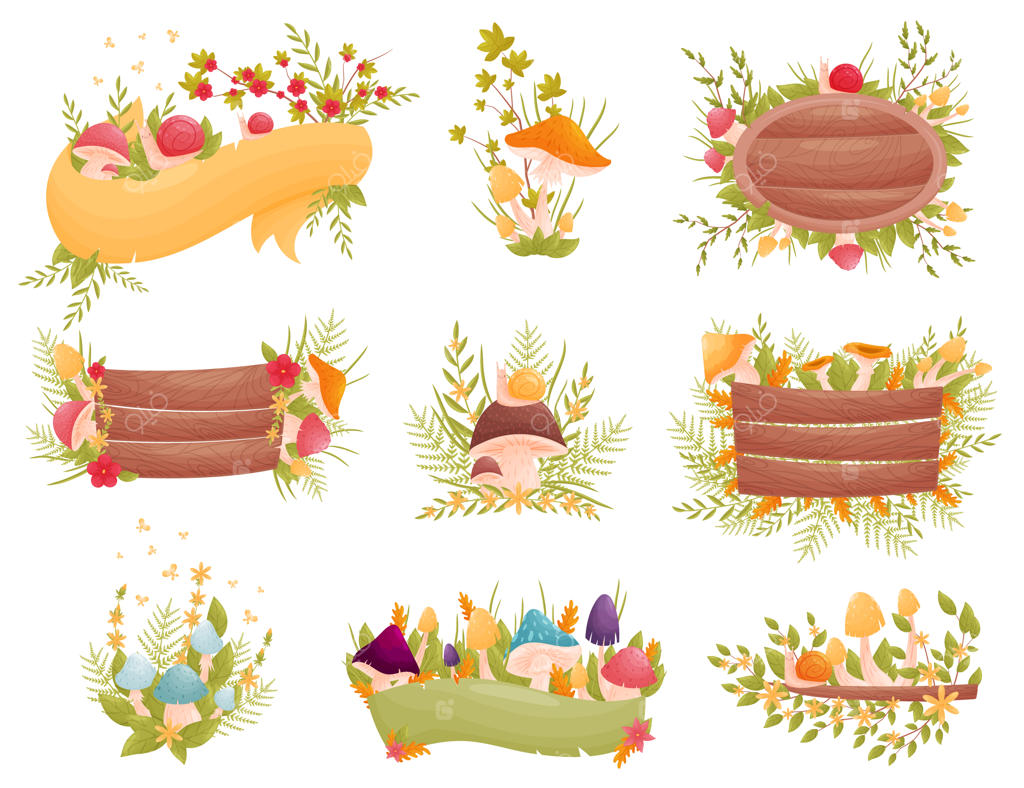 ترکیب‌های متنوعی از قارچ‌ها و گل‌ها، همراه با حلزون‌ها و بشقاب‌های چوبی.