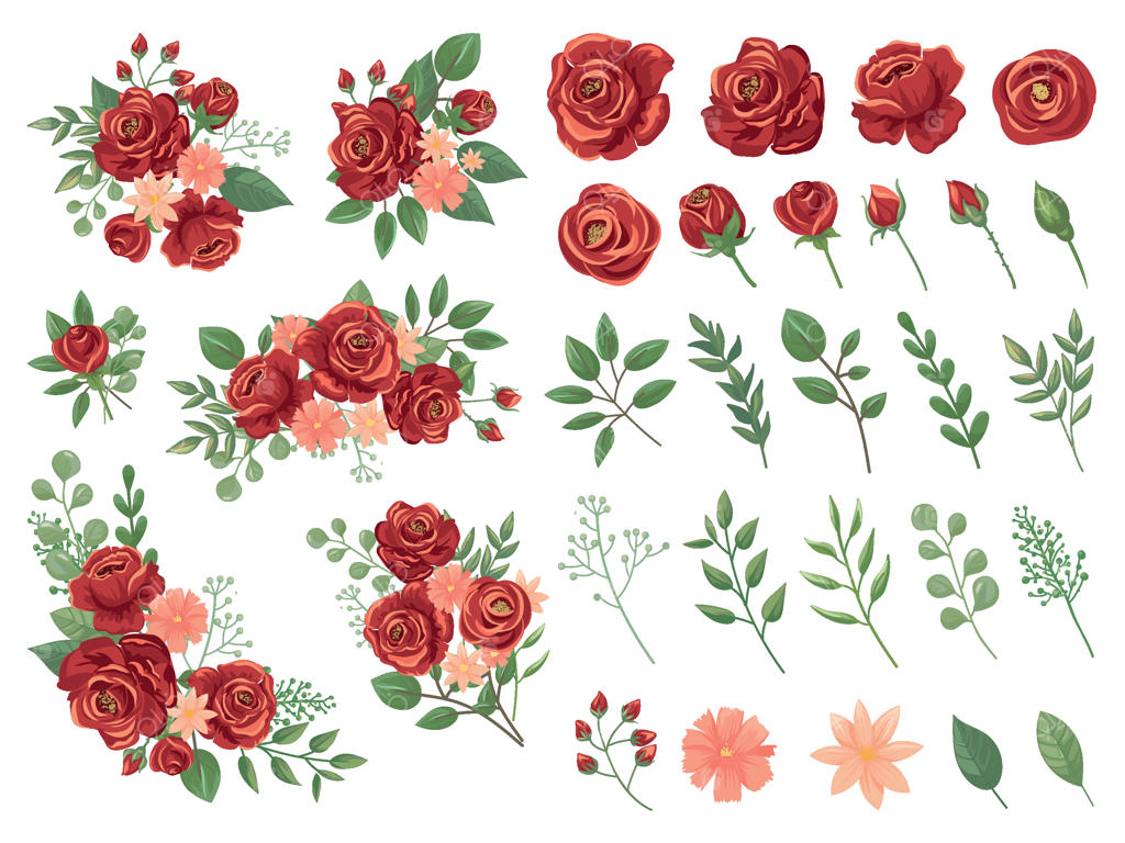 دسته گل قرمز: رز شرابی، دسته گل‌های رز کلاسیک و مجموعه تصویرسازی وکتور گل‌های بهاری