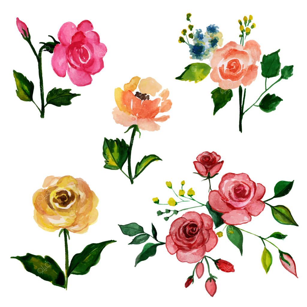 مجموعه‌ای زیبا از عناصر گل‌های آبرنگی