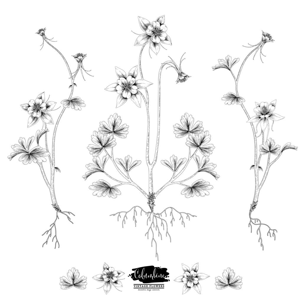 مجموعه طراحی گل و گیاه