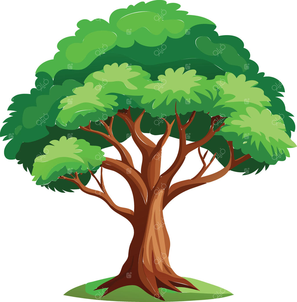 درخت آرامش در دسترس با فایل EPS