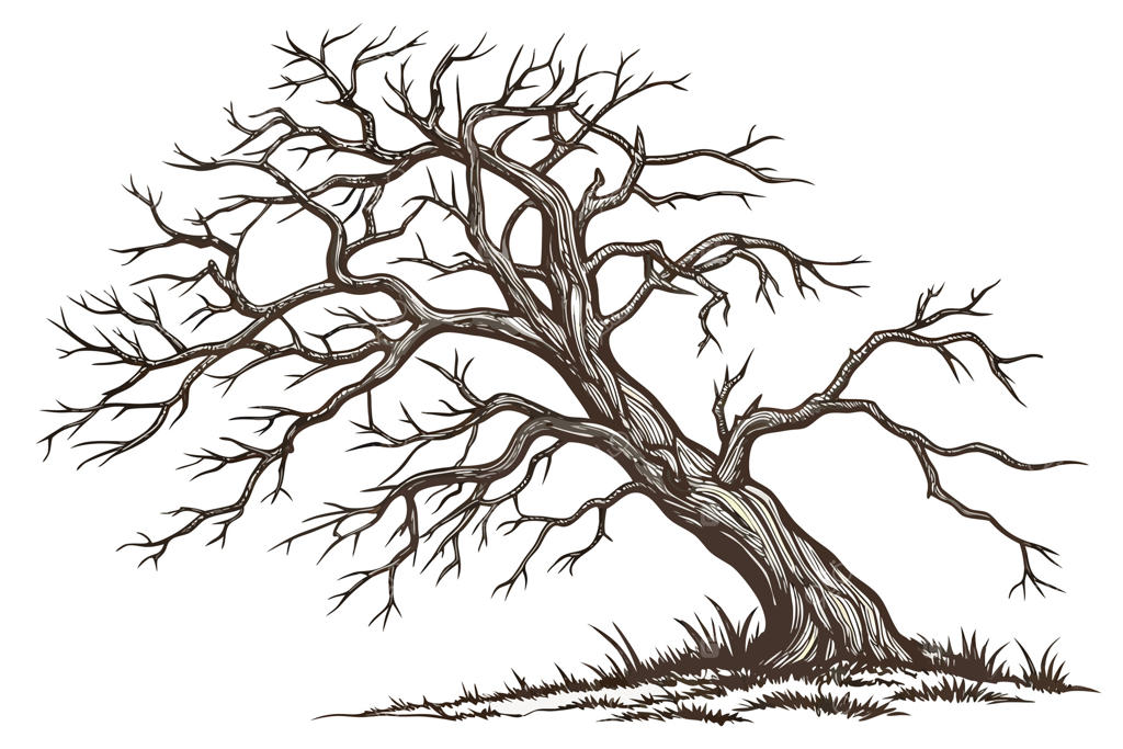 تصویر درخت بدون برگ و درخت پاییزی واقع‌گرایانه