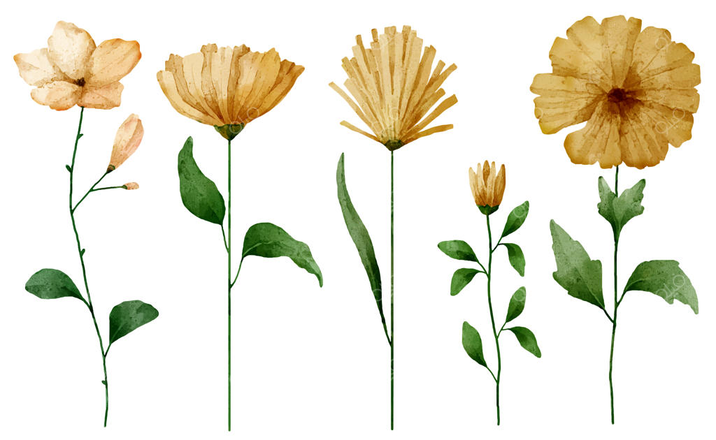 دسته‌گلی زیبا از گل‌ها و برگ‌ها برای تزئین به سبک رنگ‌آب‌