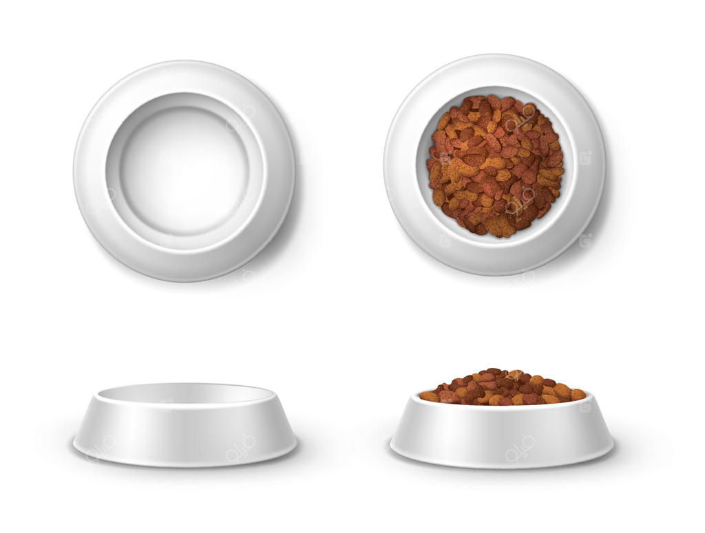 ماکت بشقاب غذای حیوانات، مدل واقعی کاسه غذا