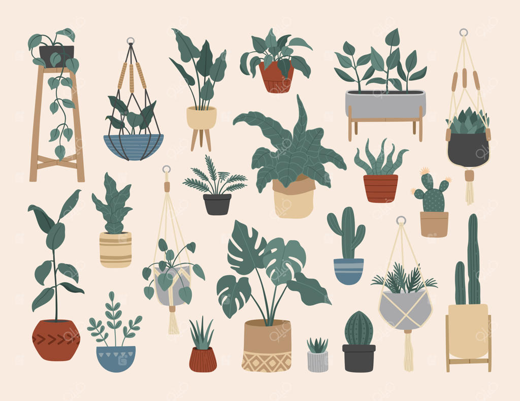 مجموعه‌ای از گیاهان خانگی شیک و قدیمی
