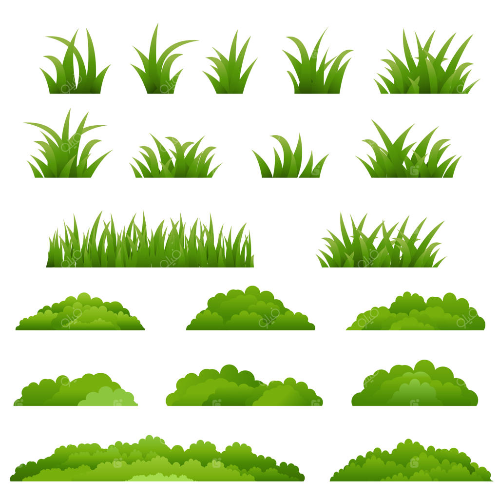 مجموعه بوته‌ها و چمن سبز، جدا شده در پس‌زمینه سفید
