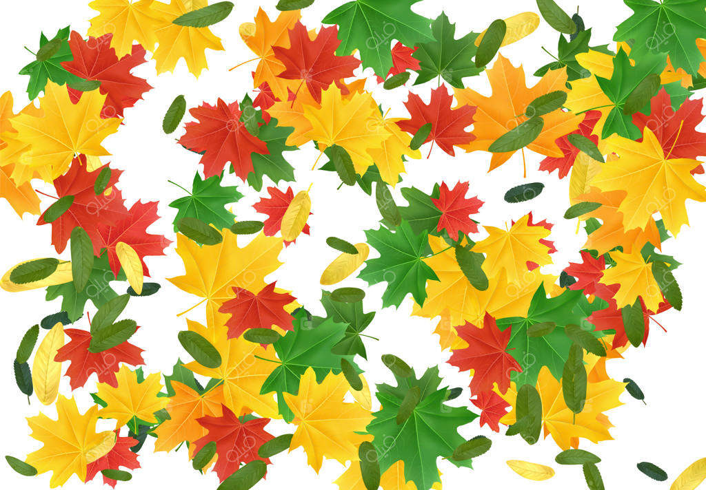 برگ‌های پاییزی افرا و دیگر درختان: رنگ‌های زنده پاییز. تأثیر سقوط بر روی پس‌زمینه سفید. طراحی واقعی سه‌بعدی. تصویرسازی وکتور