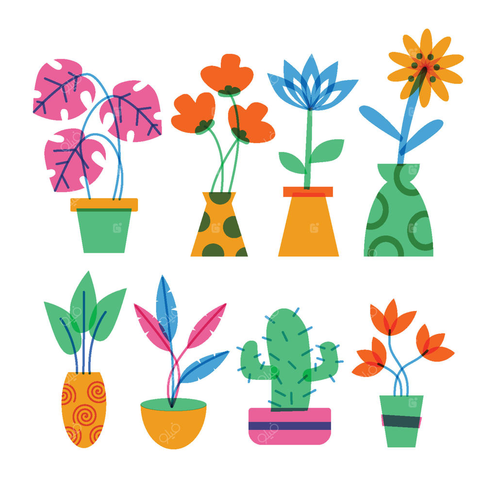 مجموعه پرانرژی از طراحی گیاهان گلدانی رنگارنگ - وکتور حرفه‌ای