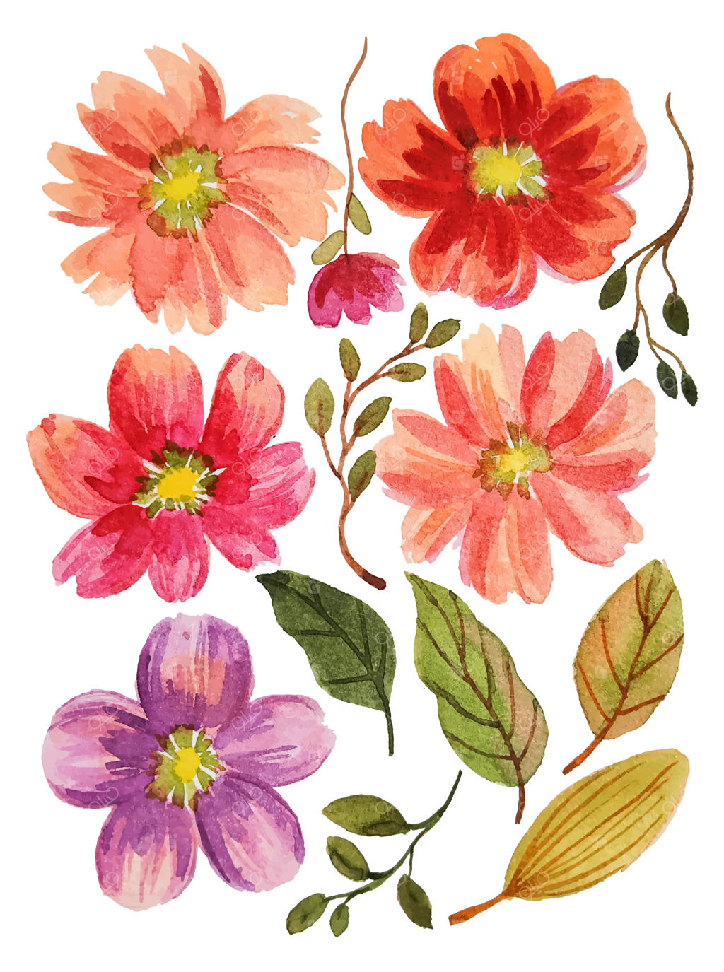 عنصر شکوفه گل آبرنگی نقاشی شده با دست وکتور