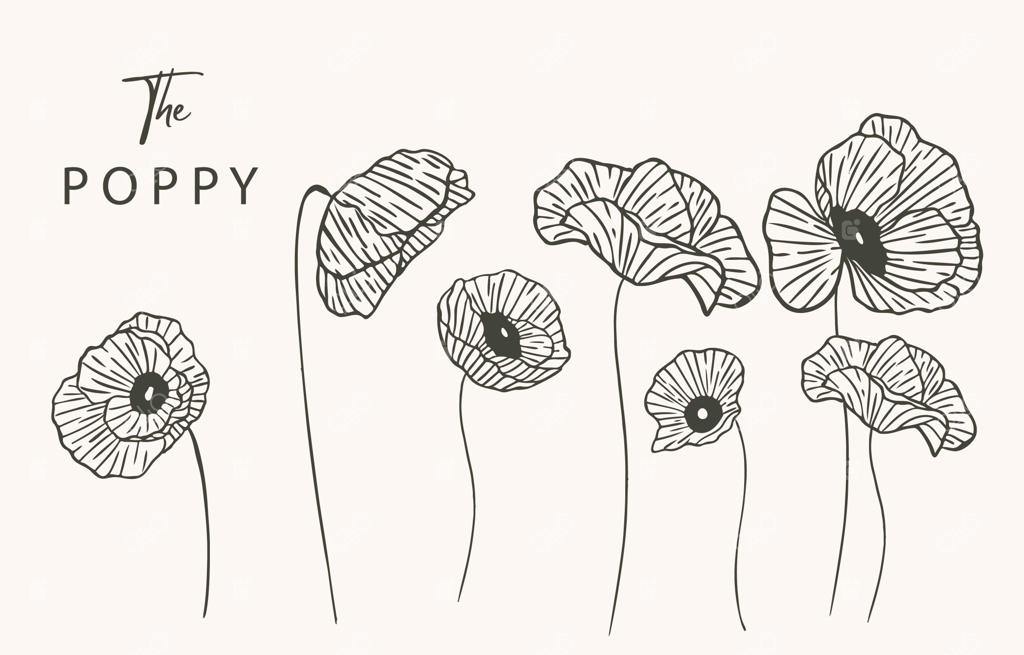 وکتور طرح خطی گل شقایق مشکی برای آیکون، استیکر، چاپ و تاتو