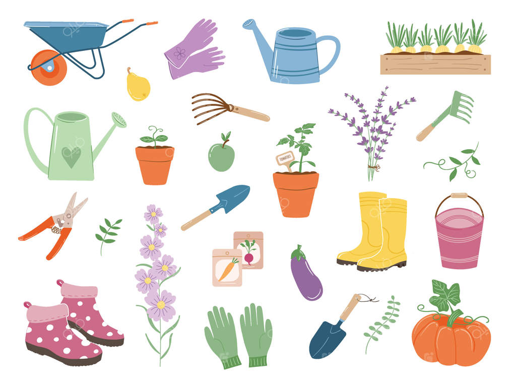 مجموعه‌ای از ابزار باغبانی، گیاهان گلدانی و عناصر: کاشت و مراقبت از گیاهان. باغبانی