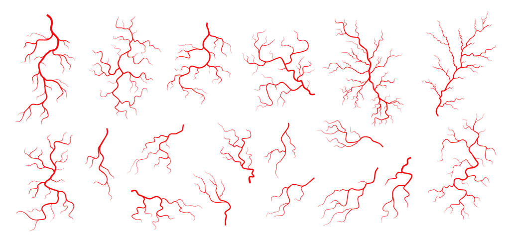 رگ‌های قرمز: شریان، سیاهرگ یا مویرگ؟