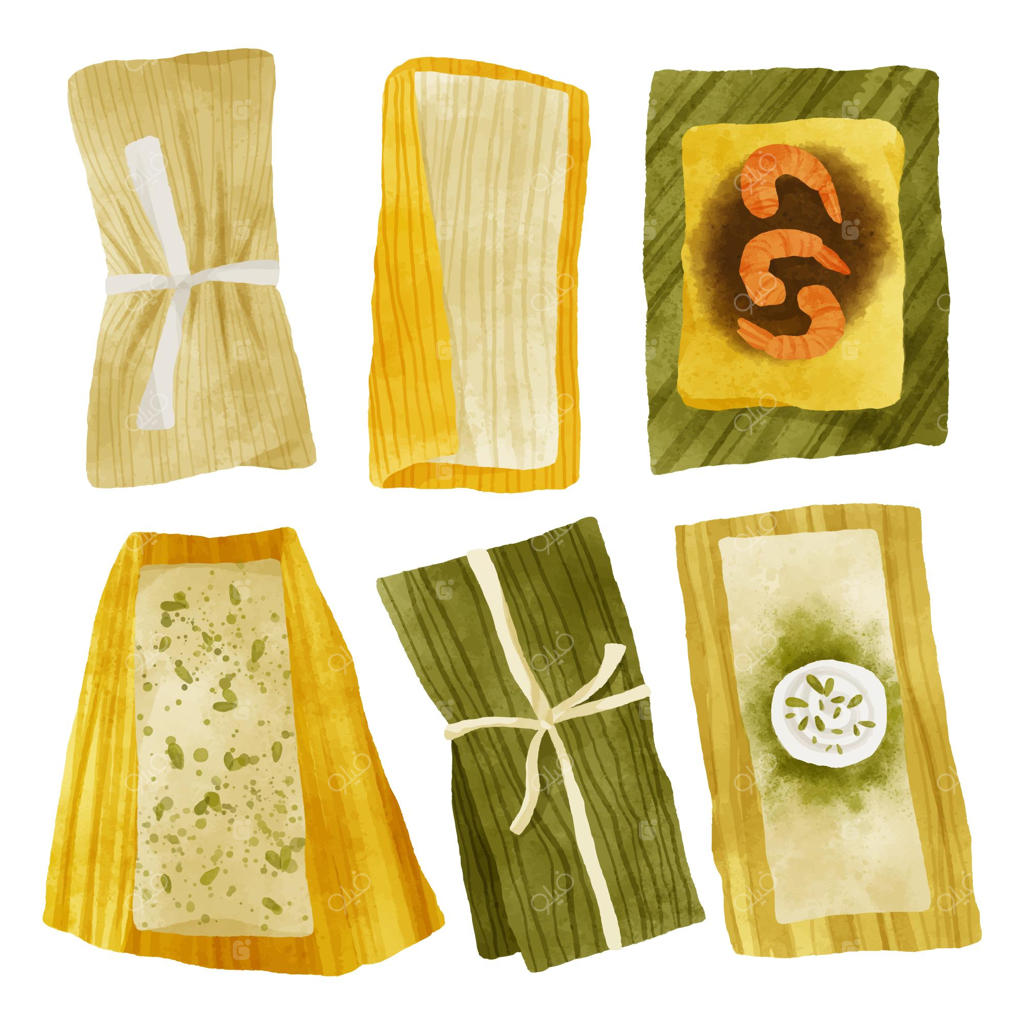 مجموعه‌ای از نقاشی‌های آبرنگی تماله‌ها