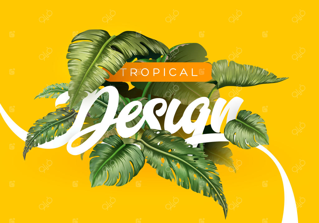 گرمسیری روشن با گیاهان جنگلی.