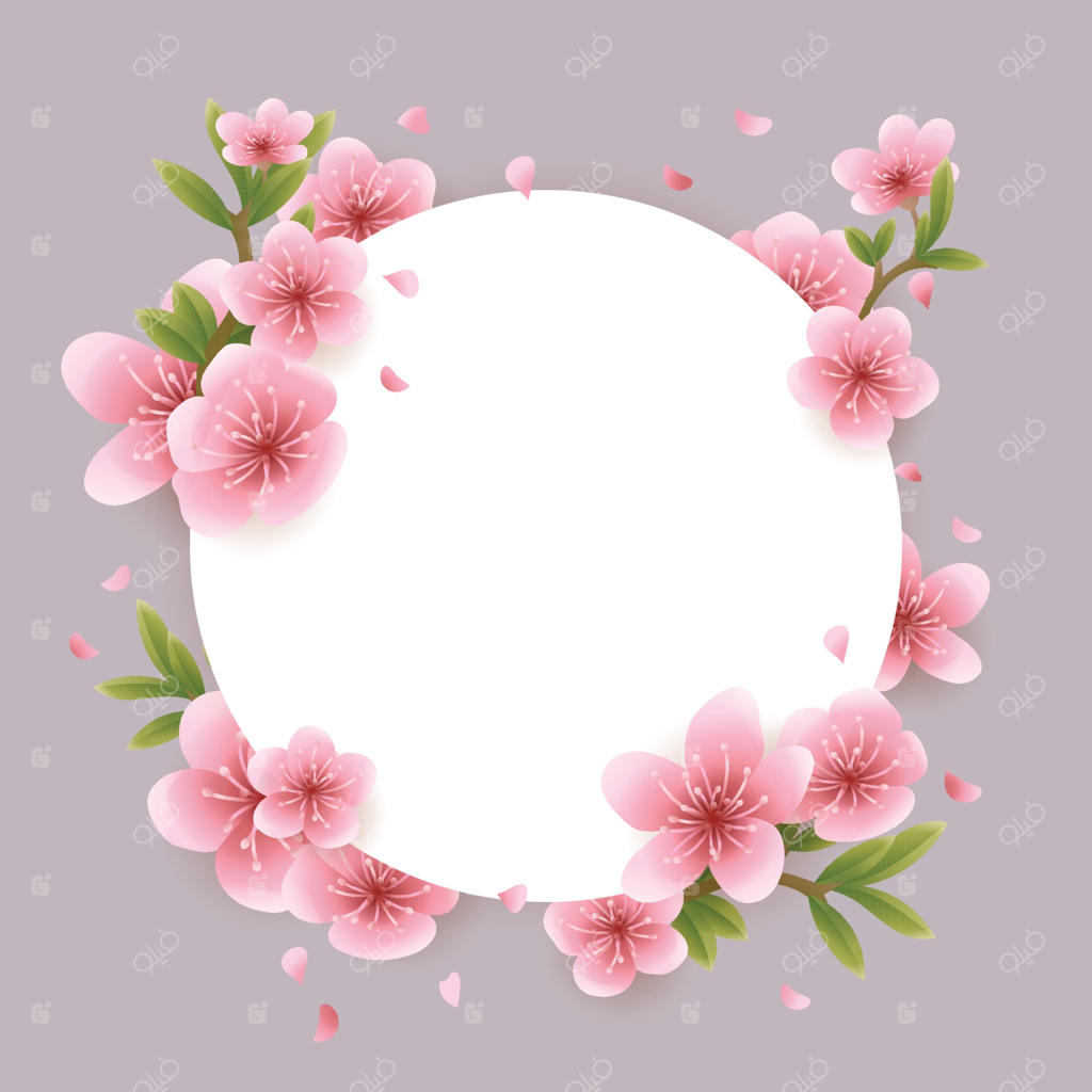 قالب حاشیه شکوفه گیلاس با شاخه