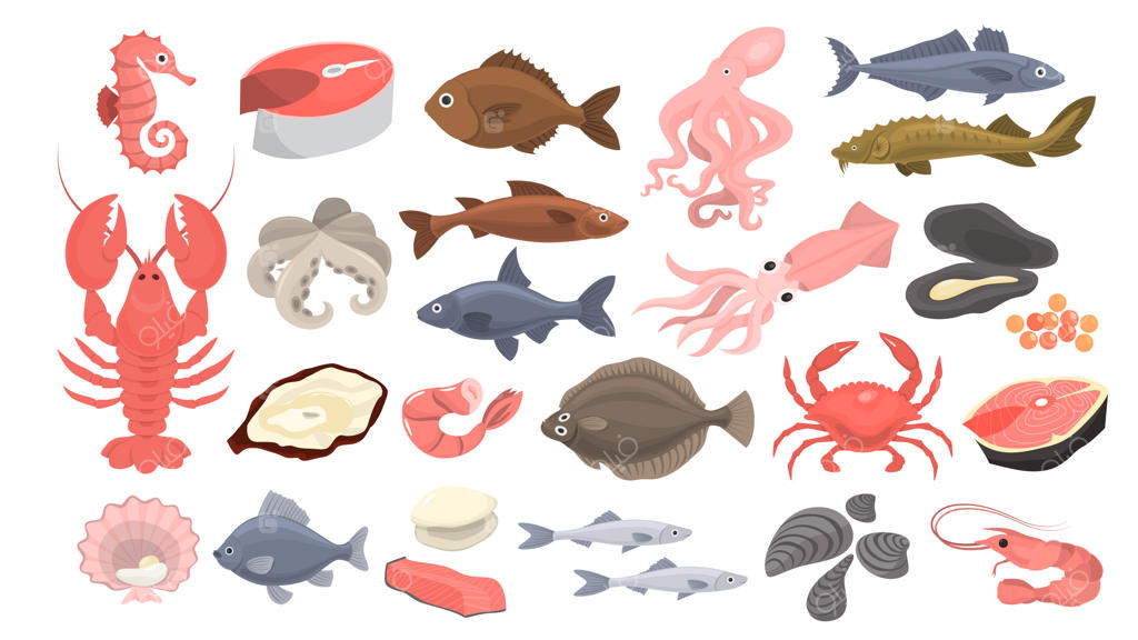 مجموعه غذای دریایی: برش ماهی سالمون، میگو و صدف‌ها.