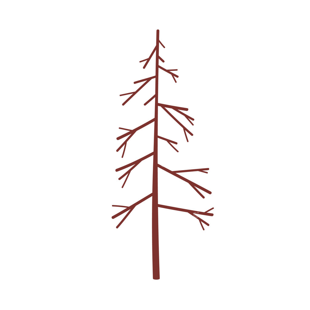 کاج مرده با شاخه‌ها و تنه‌ی برهنه. گیاه مخروطی جنگلی با شاخه‌های خشک. صنوبر خشک. کاجی قدیمی. تصویرسازی گیاهی به صورت وکتور تخت، جدا شده بر روی زمینه سفید