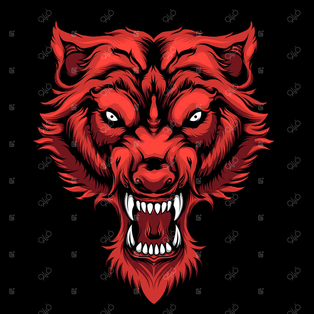 تصویر گرگ خشمگین