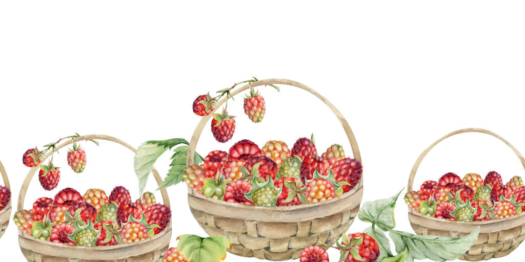 تمشک با برگ در سبد بافته شده، نقاشی با دست با تکنیک آبرنگ، برداشت توت جنگلی بالغ و پراکنده. بنر یکپارچه و مجزا. منوی دسر، کتاب آشپزی، بازار کشاورزان صنایع دستی، باغبانی.