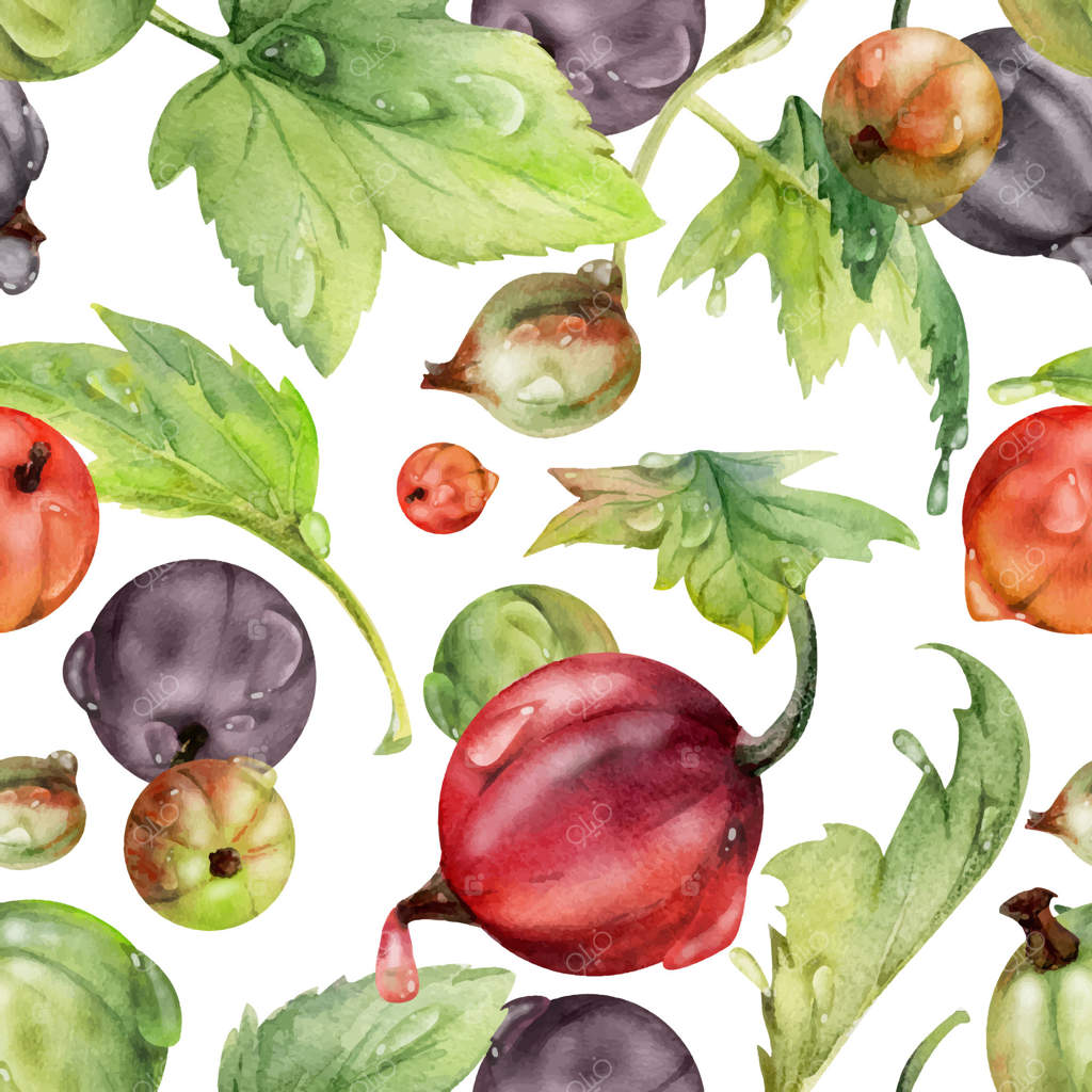 طرح یکپارچه با انگورفرنگی قرمز، انگورفرنگی سیاه، بلوبری، میوه‌های رسیده باغ با برگ‌های سبز. طراحی دست‌سازی با آبرنگ. مناسب برای پارچه، کاغذ کادو، و کاغذ دیواری.