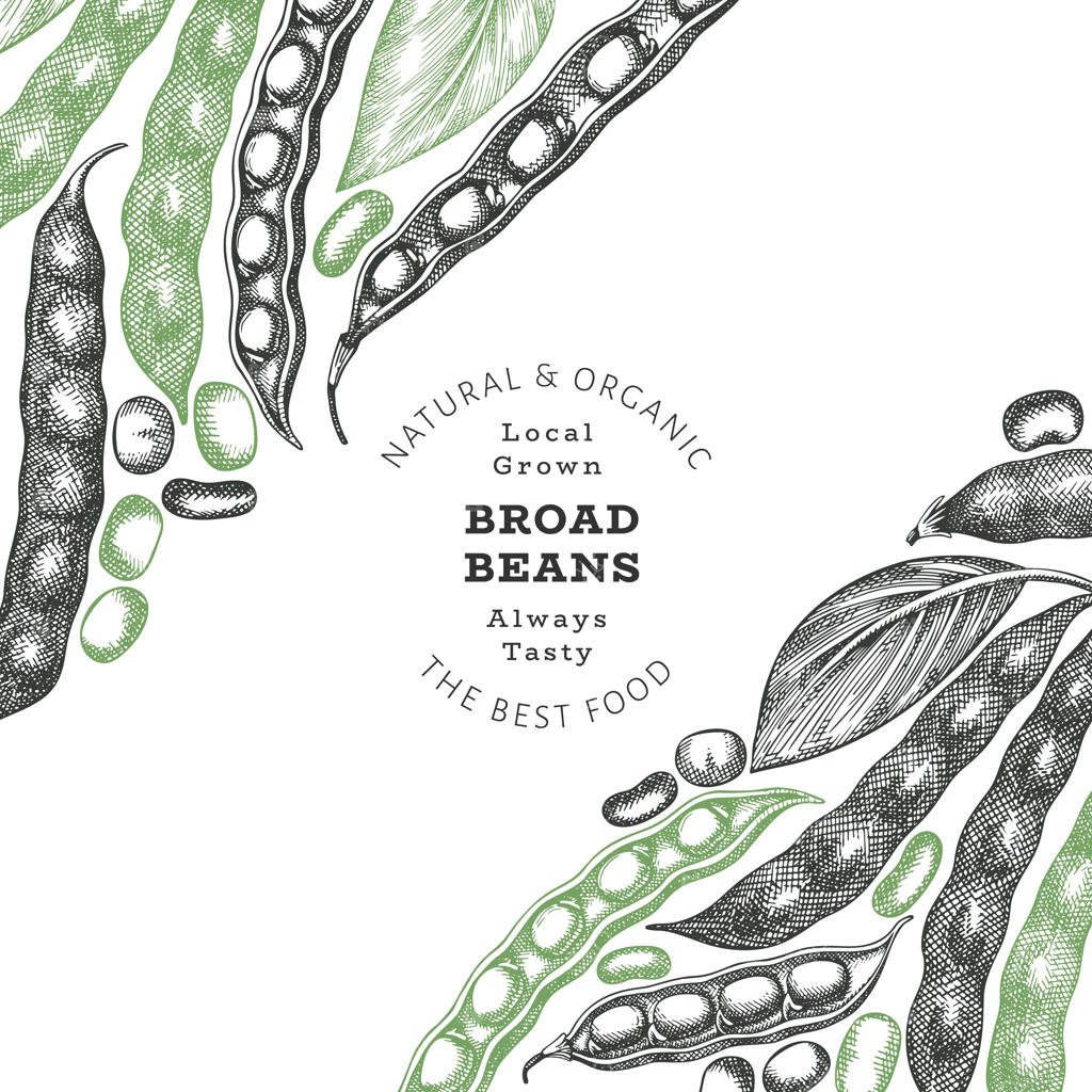 قالب برچسب دست‌ساز برای لوبیاهای عریض