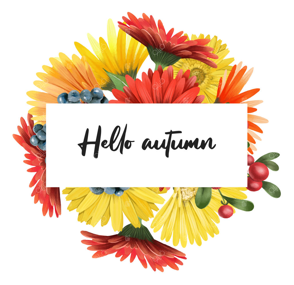 قاب گل‌های ژربرا، آستر و توت‌های پاییزی