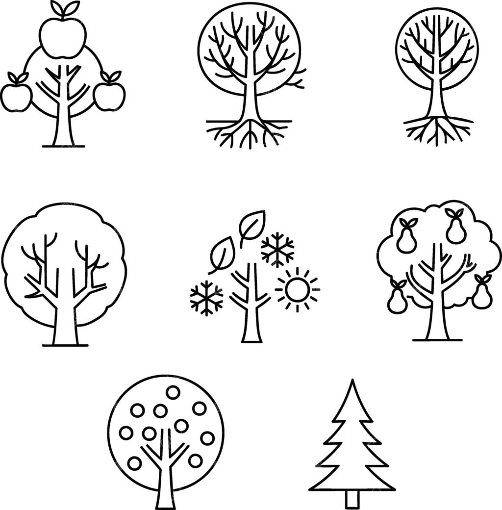 مجموعه‌ای از تصاویر استایل‌دار درختان نشان دهنده انواع و فصول مختلف