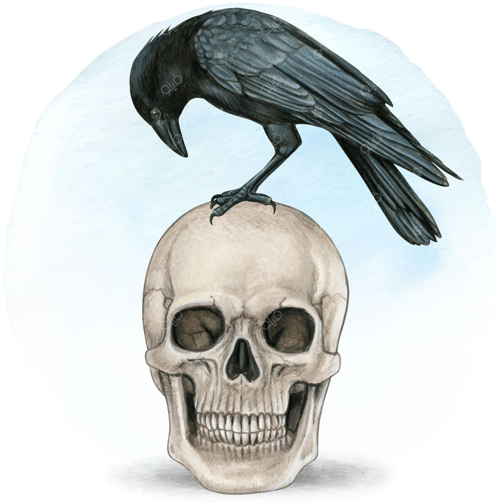 جمجمه و کلاغ طراحی شده با آبرنگ دستی