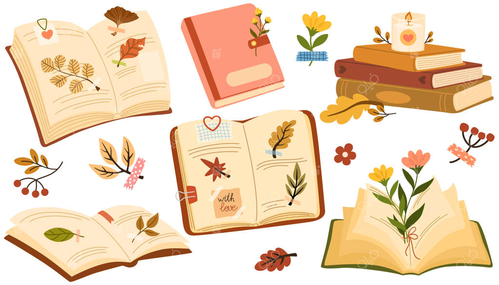 مجموعه هرباریوم: کتاب آرامش‌بخش پاییزی با مجموعه گل‌ها و برگ‌ها