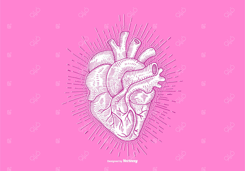 قلب - طراحی خطی