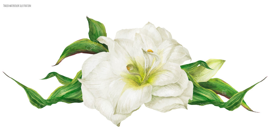 چیدمان عروسی با گل هیپستروم سفید