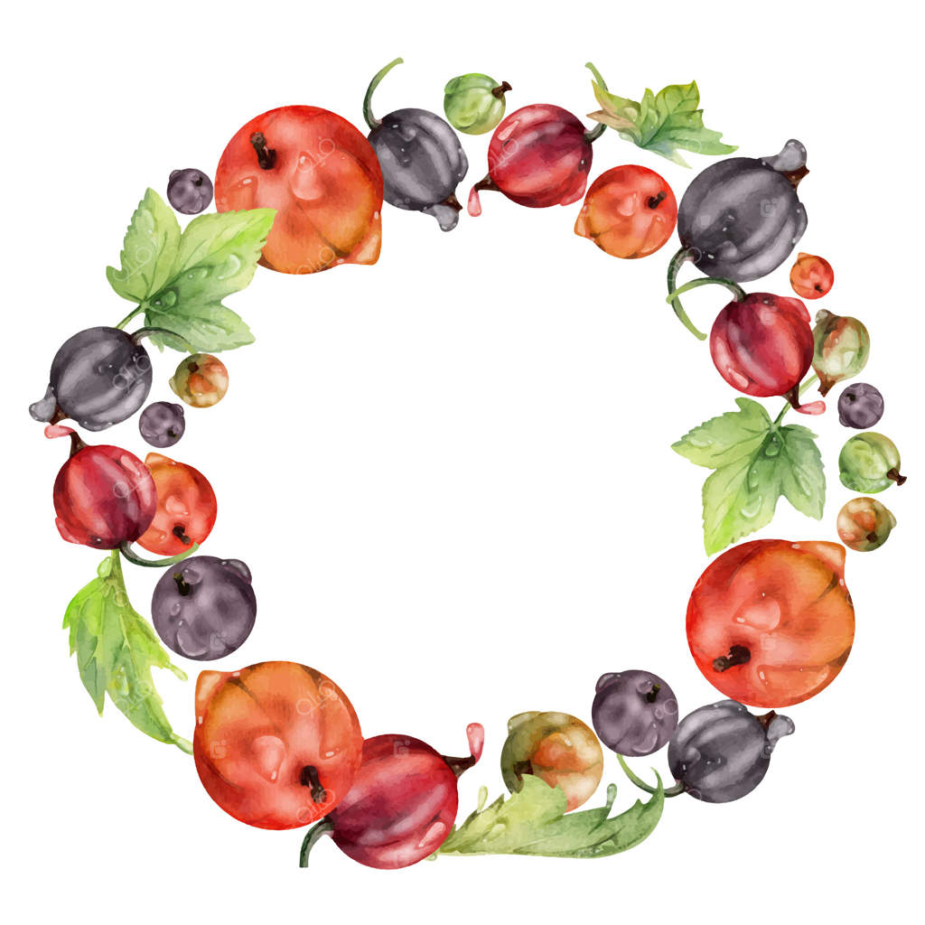 انگور فرنگی و انگور سفید با برگ‌های پوشیده از شبنم آب، توت‌های رسیده باغ جُون‌بِری و جاسِل‌بِری نقاشی شده با آبرنگ. قاب حلقه‌ای جداگانه. غذای ارگانیک و نوشیدنی تازه، فروشگاه سبزیجات و میوه‌جات ارگانیک