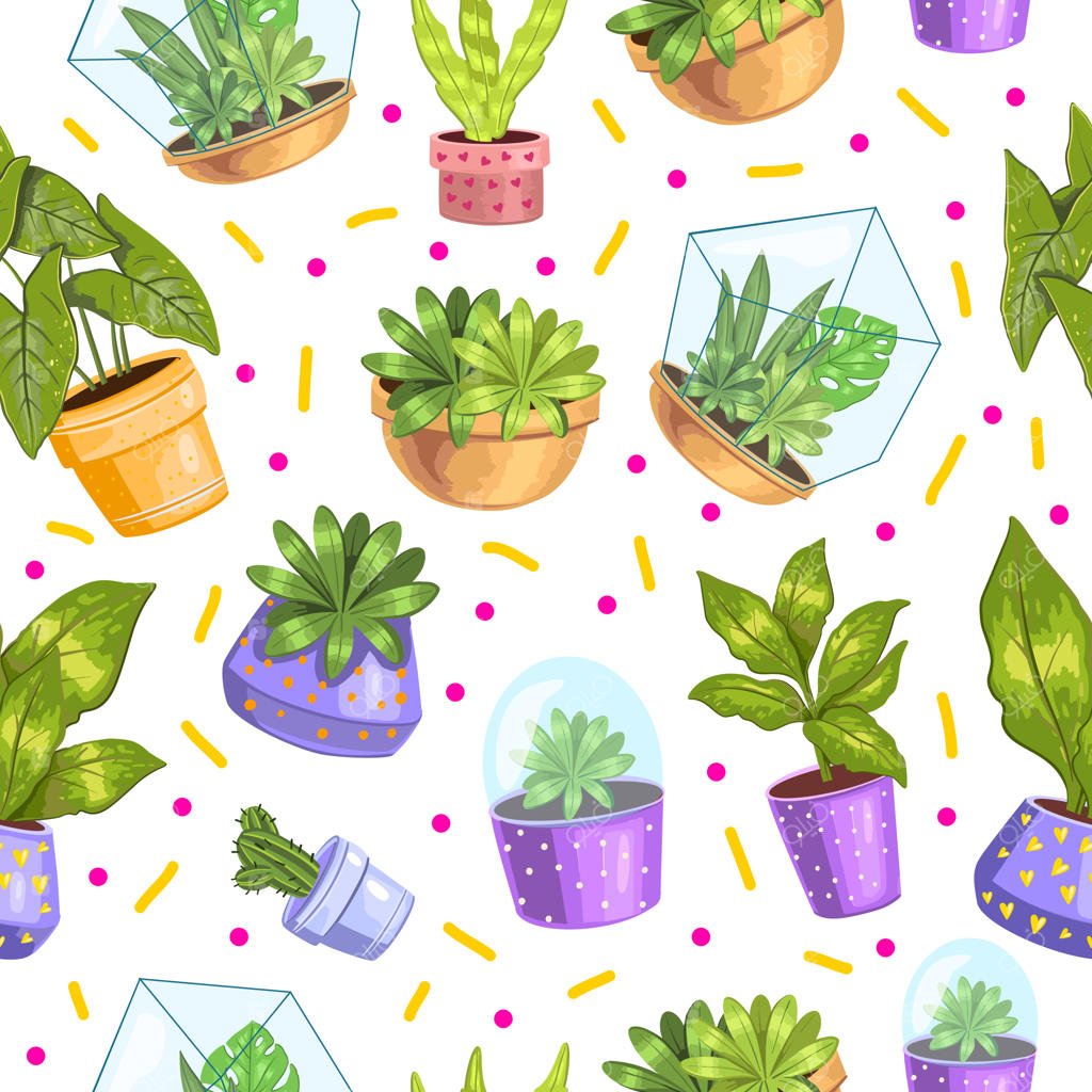 الگوی یکپارچه با ساکولنت‌ها و کاکتوس‌ها