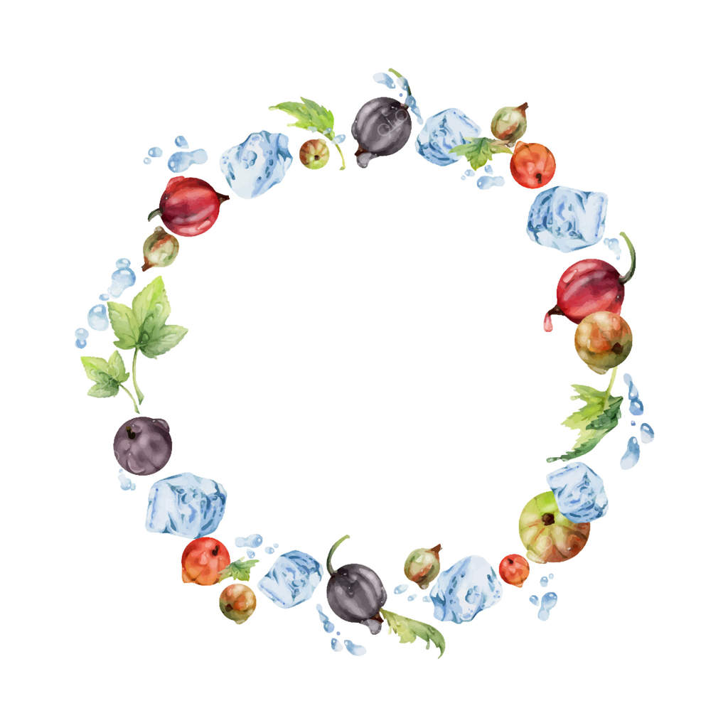 انگور فرنگی و مویز درون آب همراه با برگ‌های سبز، تکه‌های یخ و قطرات شبنم، توت‌های تازهٔ باغچه‌ای، کشمش و یستابری در طراحی آبرنگ. قاب حلقه‌ای مجزا. خواروبار تازه