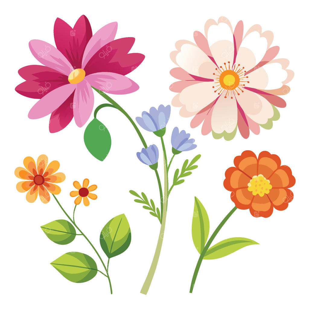 گل‌های چیده شده از باغ