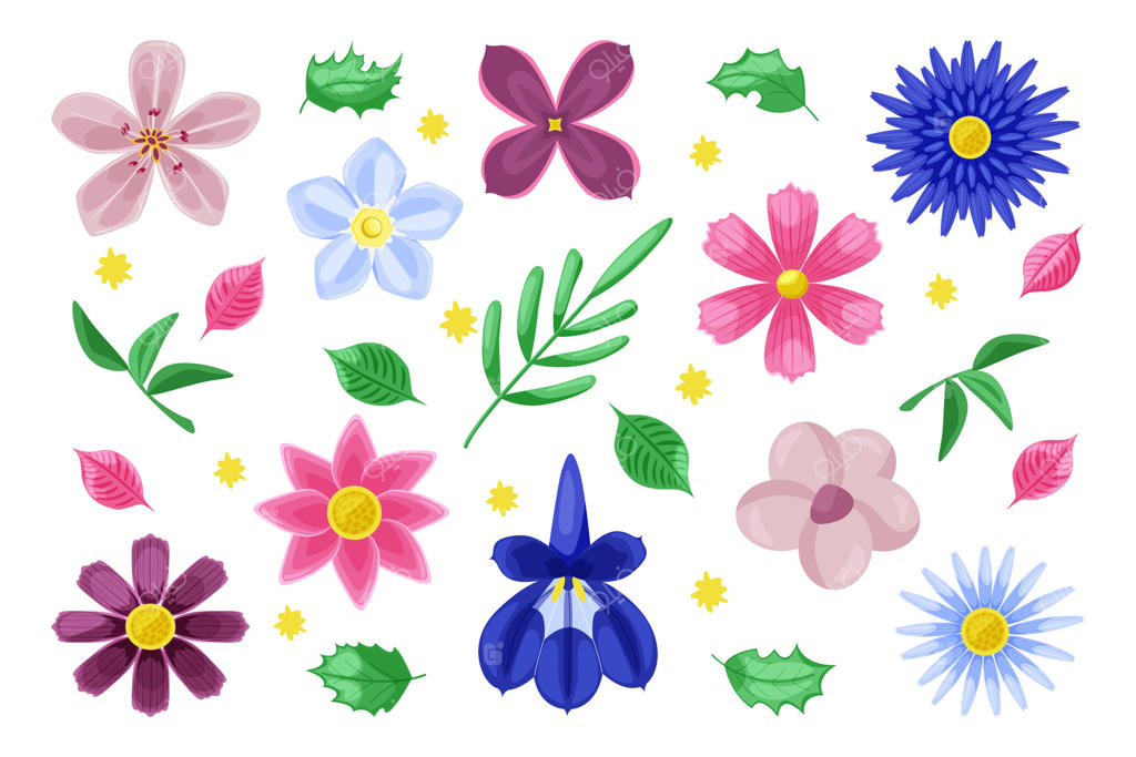 مجموعه‌ای از گل‌های وحشی و باغی: بابونه، داوودی، ستاره‌ای، یاس بنفش، پلومریا، گل کاسموس، لوبلیا، گل فراموشم مکن، نیلوفر آبی، لیلاوادی، سوسن. گیاهان گل‌دهنده بهار و تابستان.