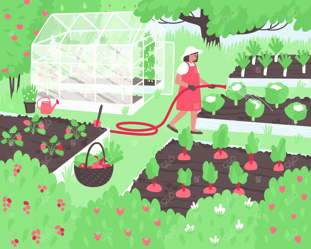 زن کشاورز در حال آبیاری سبزیجات در باغچه سبزیجات